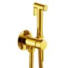 Wall-Mount Hot & Cold Bidet Sprayer Set Solid Brass Concealed Toilet Sprayer Faucet