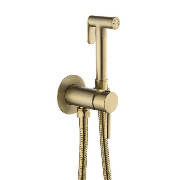 Wall-Mount Hot & Cold Bidet Sprayer Set Solid Brass Concealed Toilet Sprayer Faucet