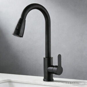 Stainless Steel Dual Mode Pull Out Kitchen Faucet