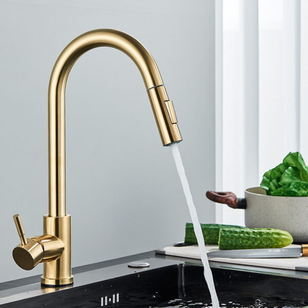 304 Stainless Steel Pull Out Kitchen Faucet with Multi-Function Sprayer