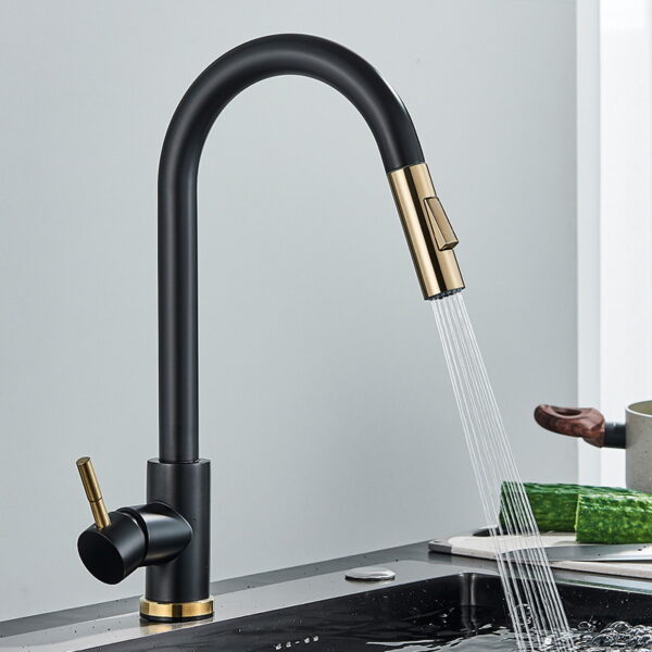 304 Stainless Steel Pull Out Kitchen Faucet with Multi-Function Sprayer
