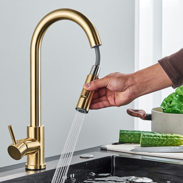 304 Stainless Steel Pull Out Kitchen Faucet with Multi-Function Sprayer