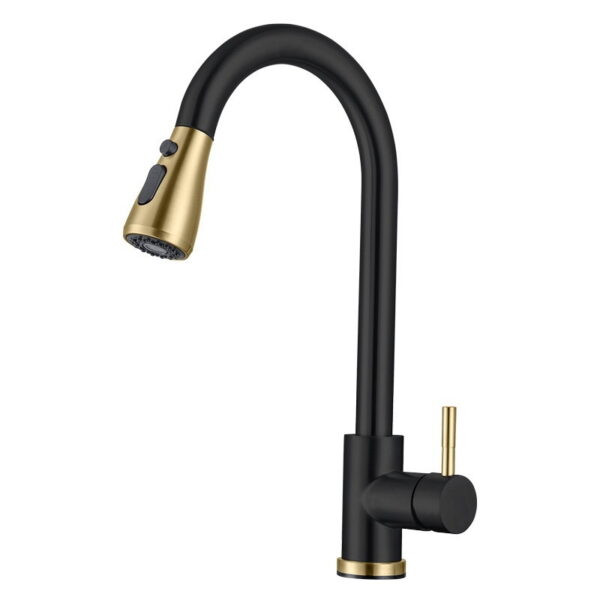 304 Stainless Steel Pull Out Kitchen Faucet with Multi-Function Sprayer